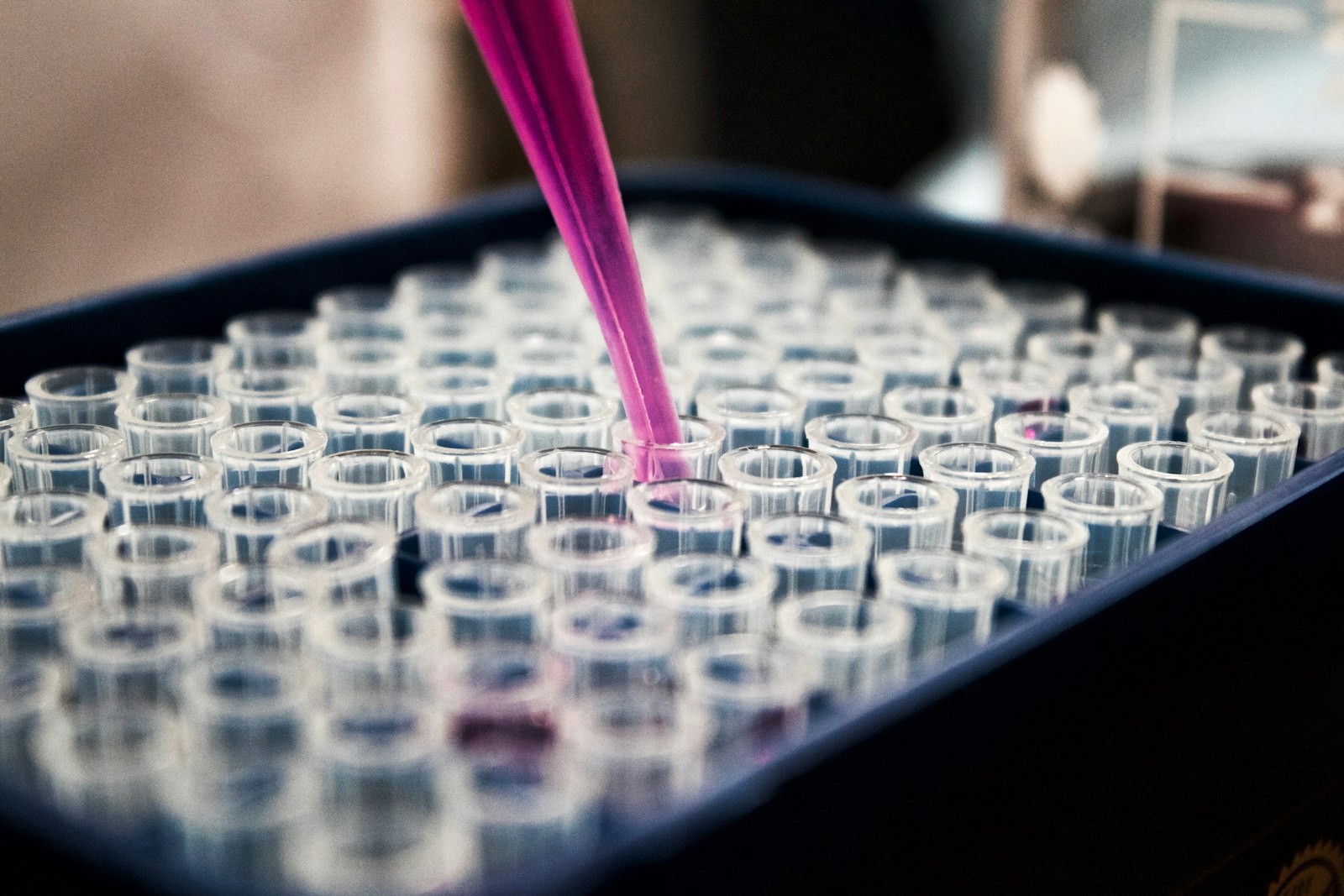 NAD+ and Your Mitochondria, Explained Without the Jargon