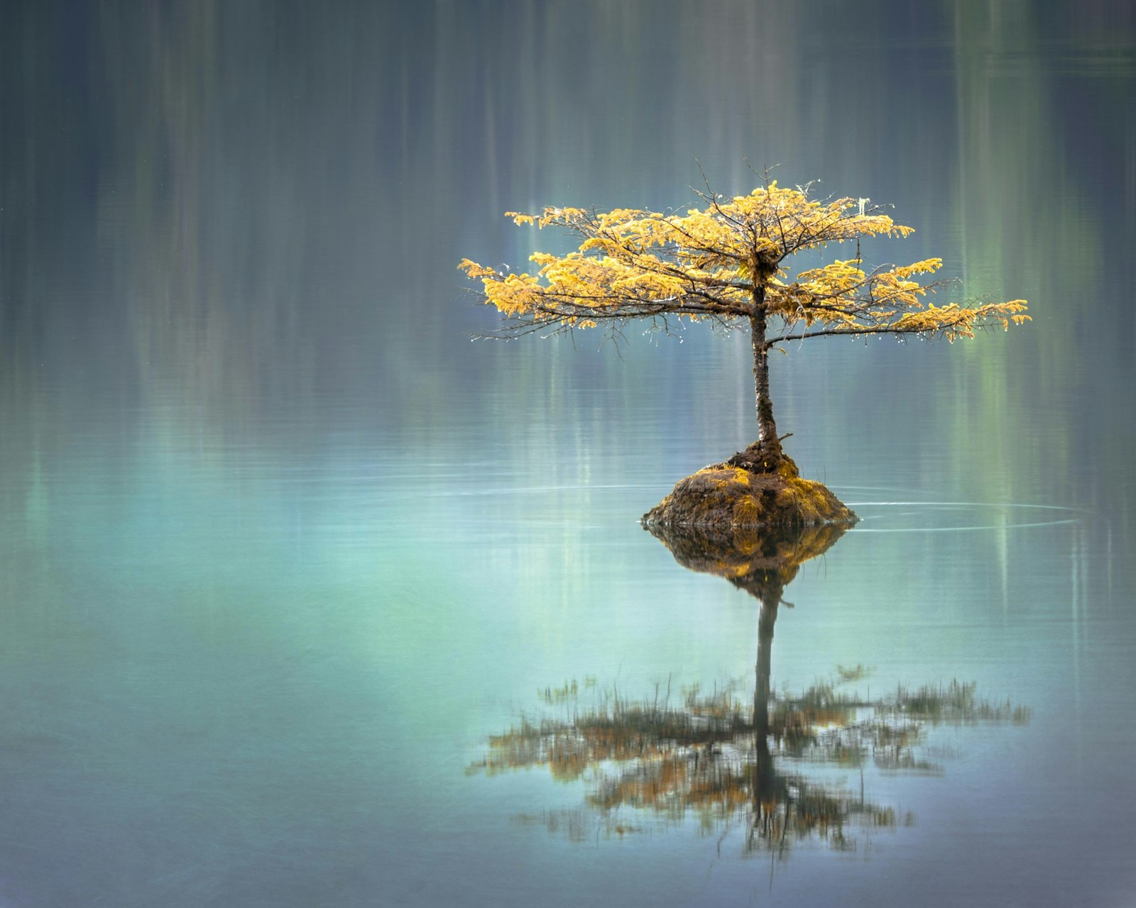 The Purpose–Longevity Link in Blue Zones Research